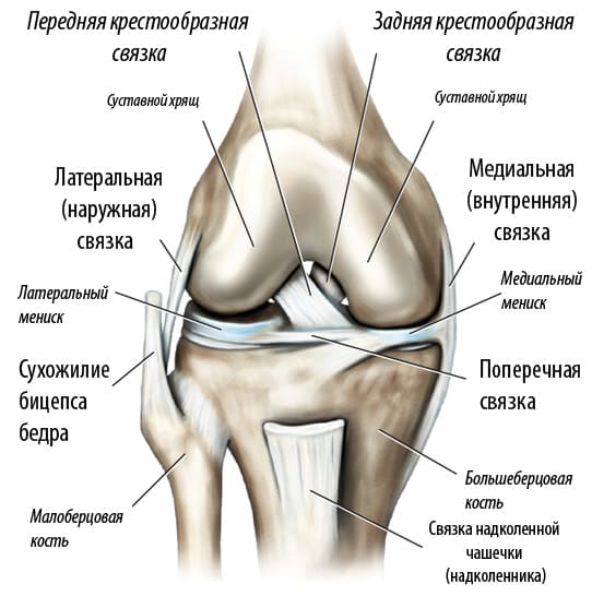 Какие уколы делают в колено при артрозе